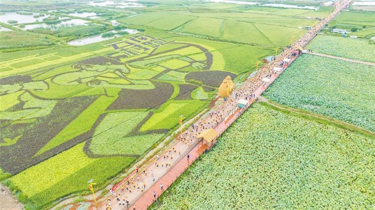 收获了不一 收获了不一